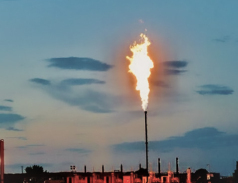 Burner Management Systems